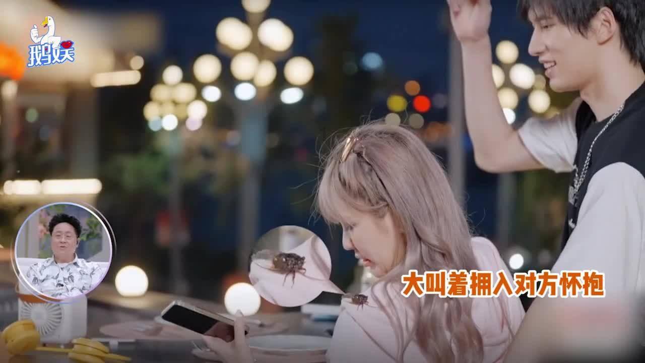 蜂王救援